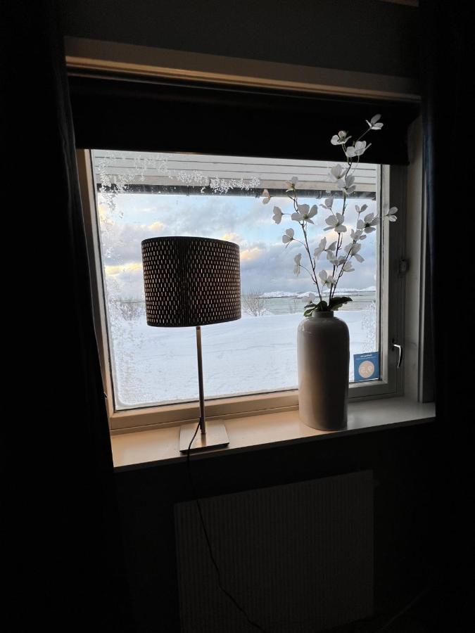 Apartment Utsikten 安德内斯 外观 照片